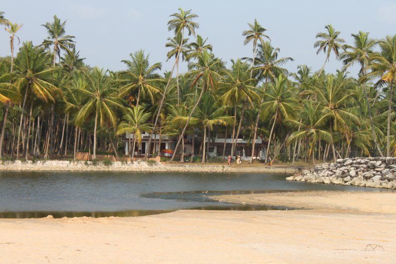 India 2010 - Kerala - Kannur - Costa Malabari - Kannur Beach Guest House
